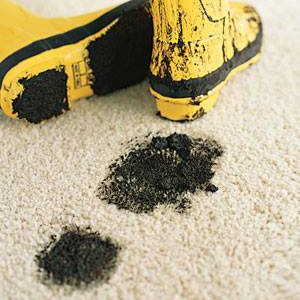 Carpet cleaning Carpet cleaning from Moor2Shore